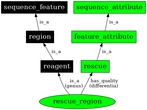 Graph image for SO:0000411