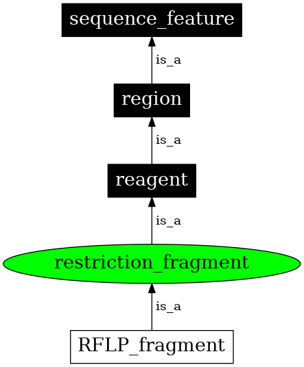 Graph image for SO:0000412