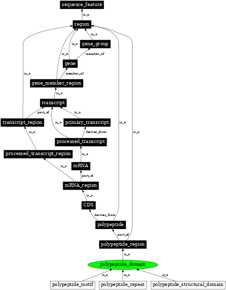 Graph image for SO:0000417