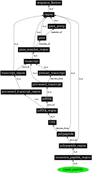 Graph image for SO:0000418