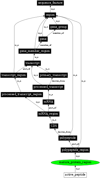 Graph image for SO:0000419