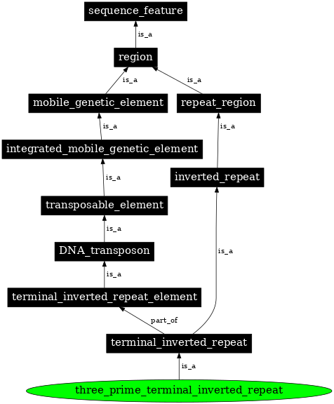 Graph image for SO:0000421