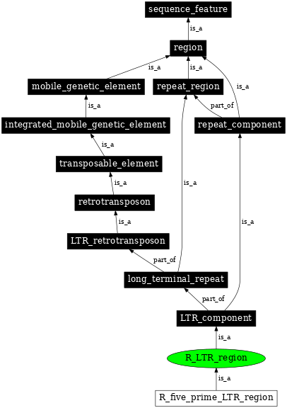 Graph image for SO:0000423