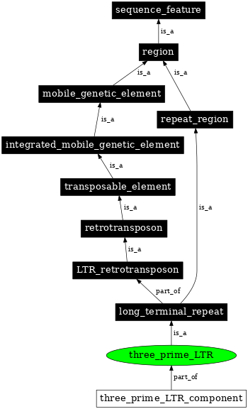 Graph image for SO:0000426