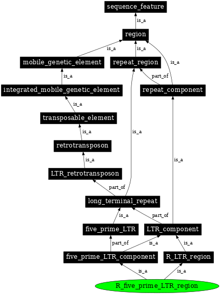 Graph image for SO:0000427