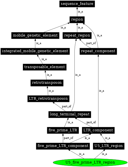 Graph image for SO:0000428