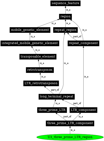 Graph image for SO:0000431
