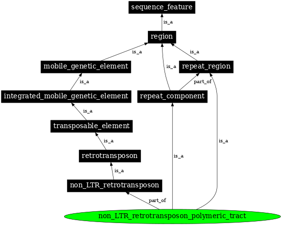 Graph image for SO:0000433