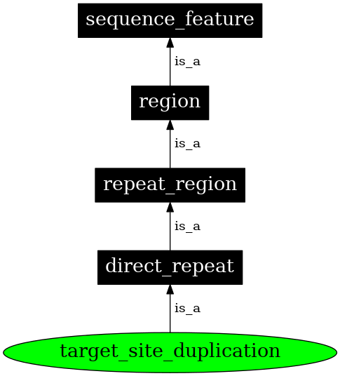 Graph image for SO:0000434