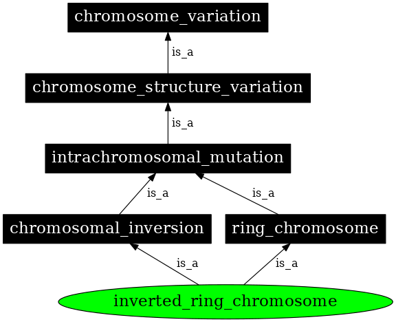Graph image for SO:0000439