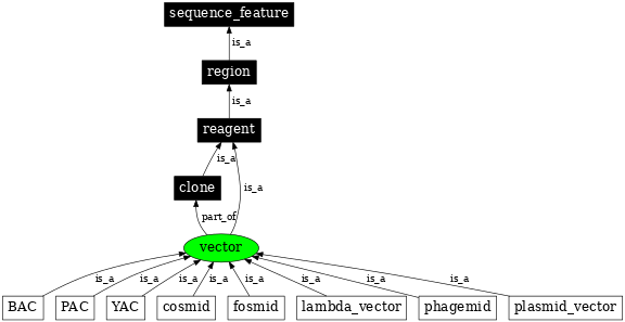 Graph image for SO:0000440