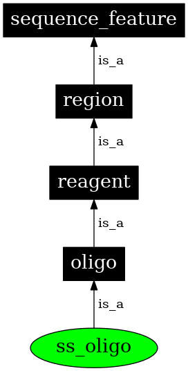 Graph image for SO:0000441