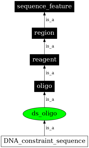 Graph image for SO:0000442