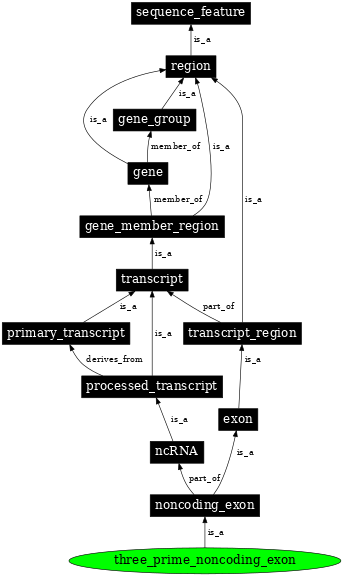 Graph image for SO:0000444
