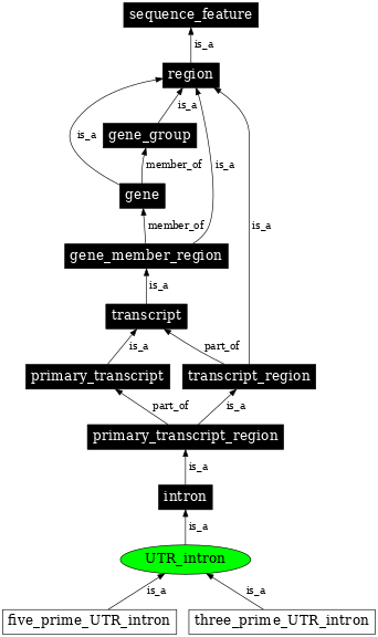 Graph image for SO:0000446