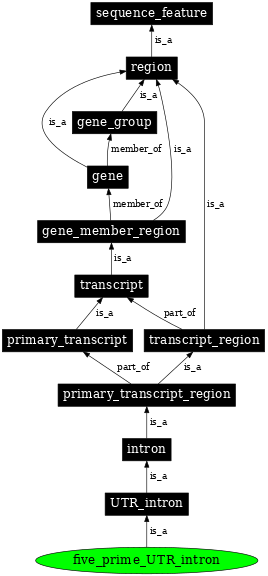Graph image for SO:0000447