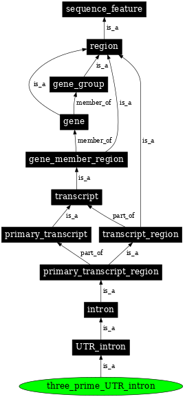 Graph image for SO:0000448