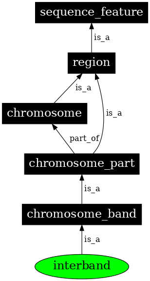 Graph image for SO:0000450