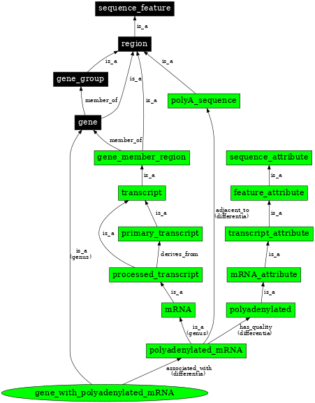 Graph image for SO:0000451