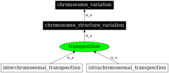 Graph image for SO:0000453