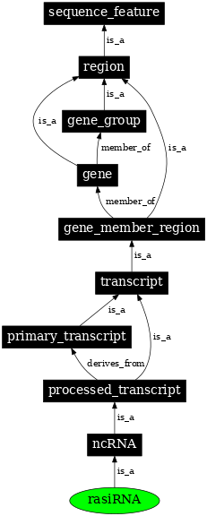 Graph image for SO:0000454