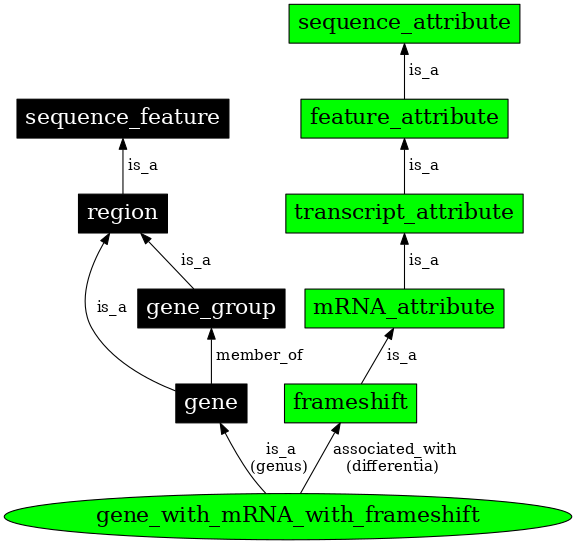 Graph image for SO:0000455