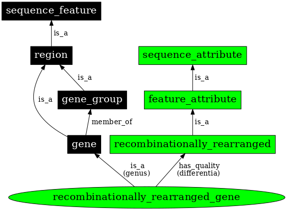Graph image for SO:0000456