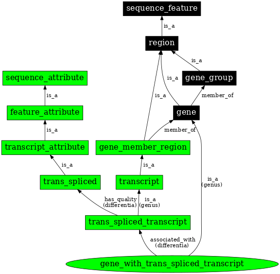 Graph image for SO:0000459