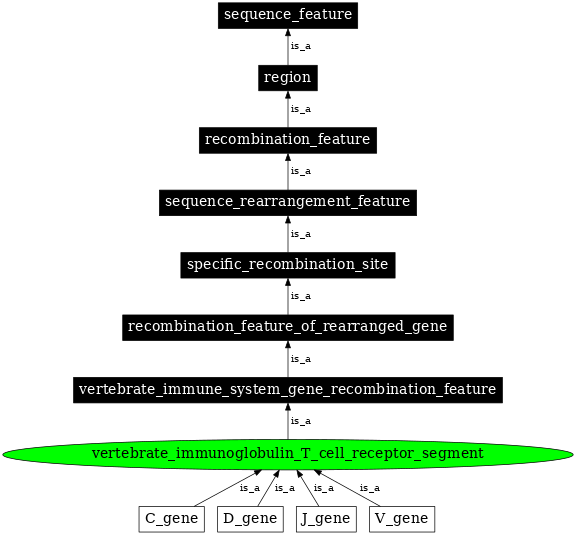 Graph image for SO:0000460