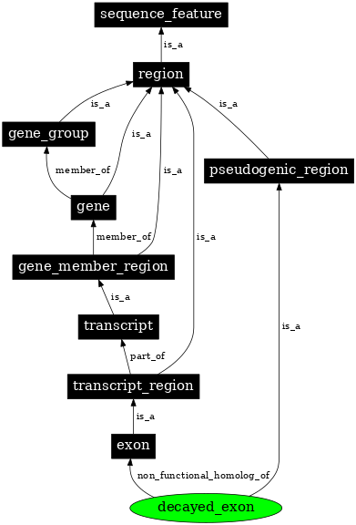 Graph image for SO:0000464