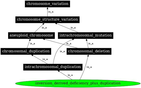 Graph image for SO:0000465
