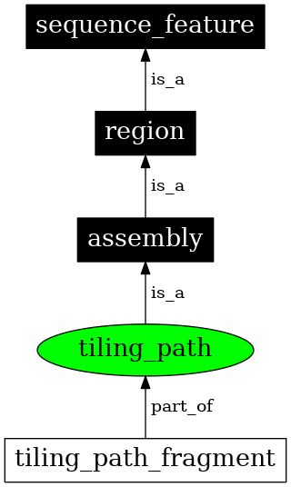Graph image for SO:0000472
