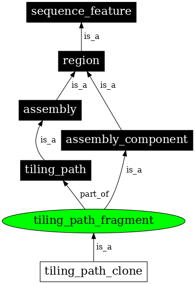 Graph image for SO:0000474