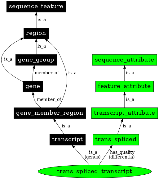 Graph image for SO:0000479