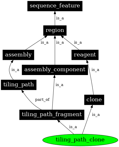 Graph image for SO:0000480