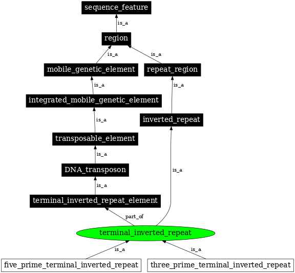 Graph image for SO:0000481