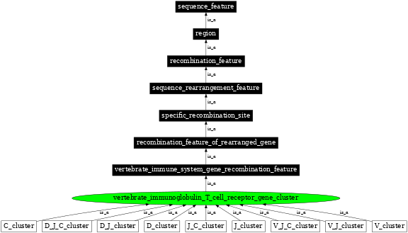 Graph image for SO:0000482