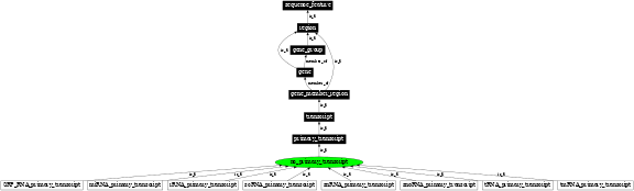 Graph image for SO:0000483