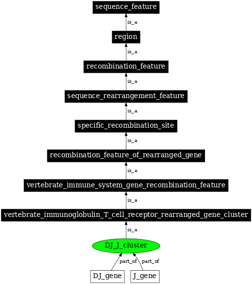 Graph image for SO:0000485