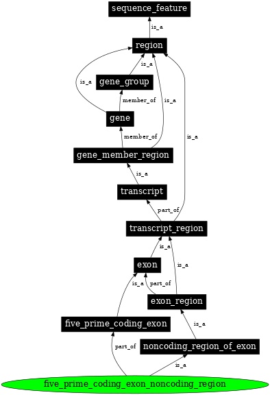 Graph image for SO:0000486