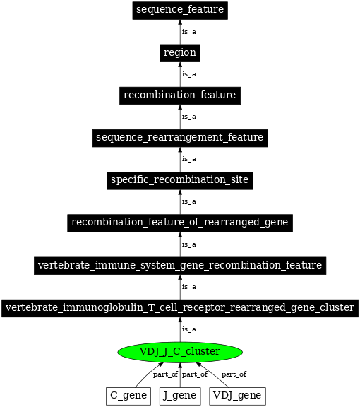 Graph image for SO:0000487