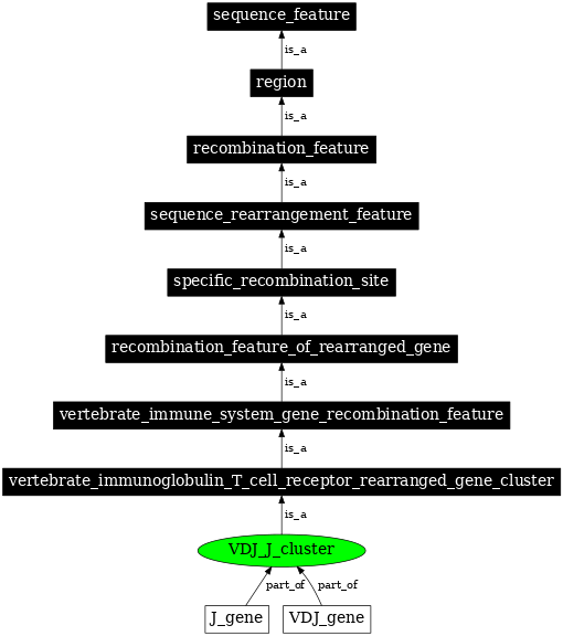 Graph image for SO:0000488
