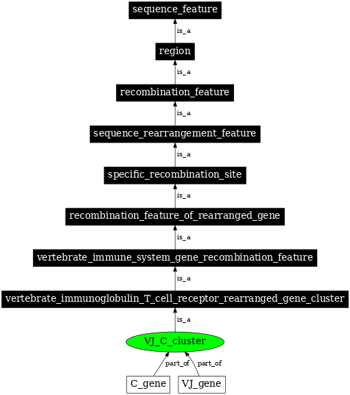 Graph image for SO:0000489