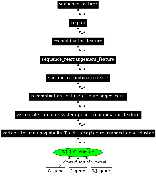 Graph image for SO:0000490