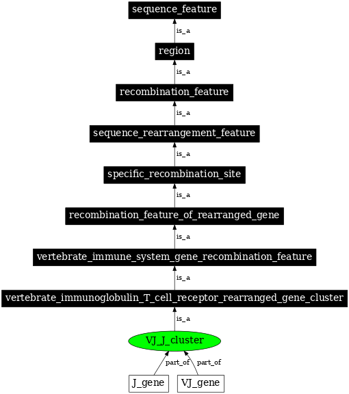 Graph image for SO:0000491