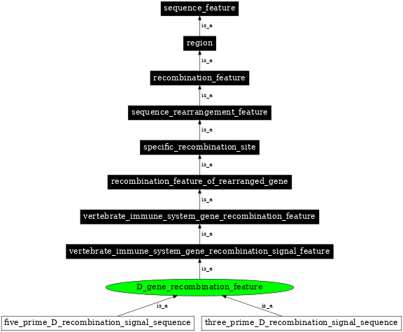 Graph image for SO:0000492