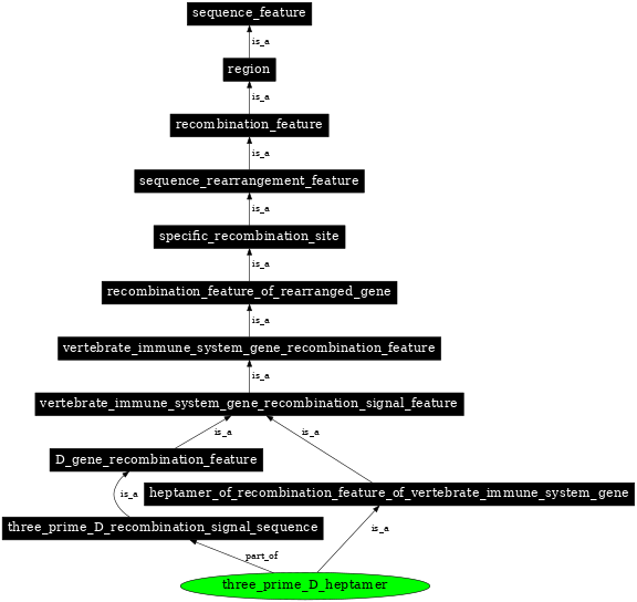 Graph image for SO:0000493