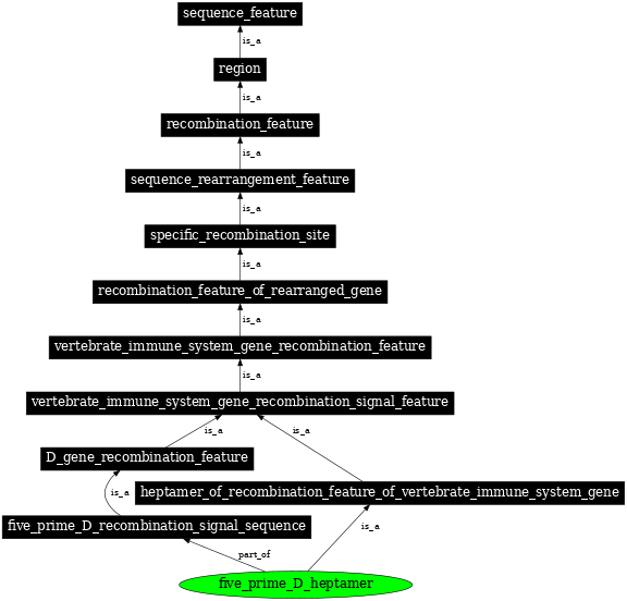 Graph image for SO:0000496