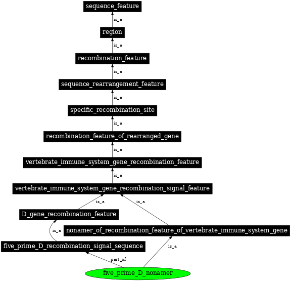 Graph image for SO:0000497