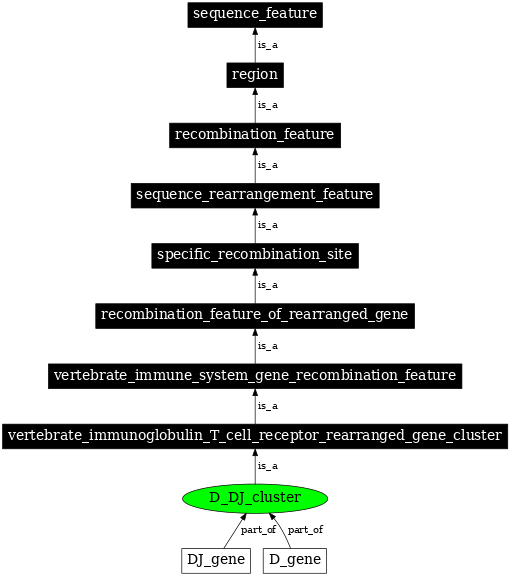Graph image for SO:0000505